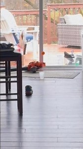 Accidentally stopped recording