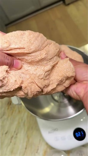 Dough Machine Does It ALL! 🍞🍕 From Bread to Roti