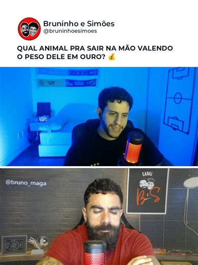 Animais: Quem Enfrentaria o Panda em uma Luta?