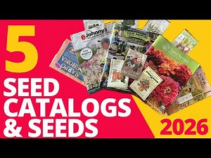 5 Seeds (and Seed Catalogs) to Try in 2026
