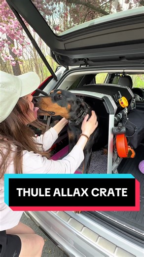 Thule Allax Car Crate Review for Large Dogs