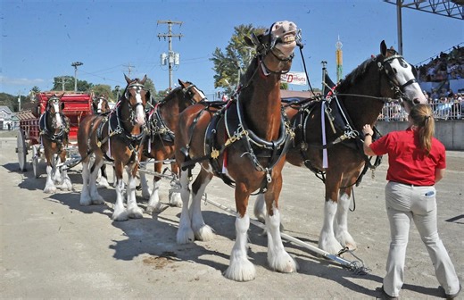 The top 10 Super Bowl 2026 ads, according to For The Win readers