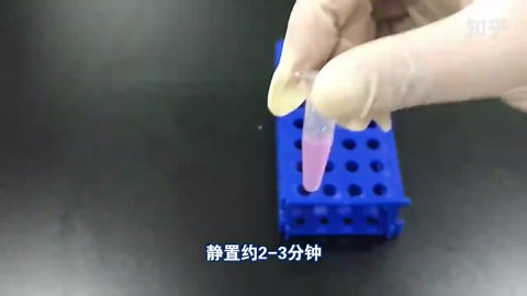 手把手教你做实验_RNA提取(Trizol类试剂/氯仿分层提取)