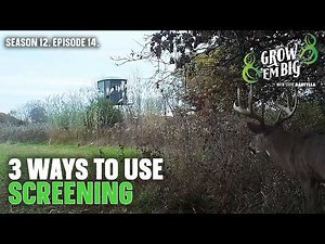 3 Ways You Can Use Screening for Whitetails