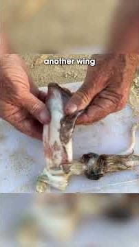 How I use squid for bait - EASY