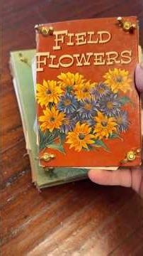 Making a Flower Press From Recycled Books