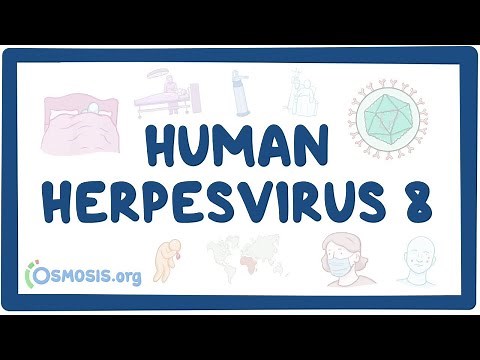 Human herpesvirus 8 (Kaposi's sarcoma) - an Osmosis Preview