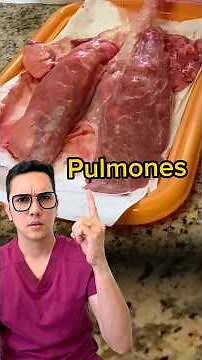 Así lucen unos pulmones sanos. ¡Simplemente increíble!. #medicina #shorts #anatomia #consejosdesalud