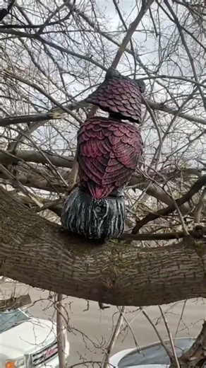 Birds Keep Pooping On My Tesla (And This is How I Fixed it)