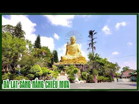 Da Lat: Sunny mornings, rainy afternoons; revisiting Van Hanh Street and Da Thien Hamlet.