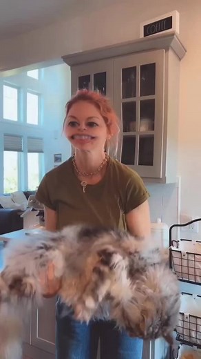 Daily workout with Toby the Maine Coon cat. 🐈 #jennaelfman | JENNA ELFMAN