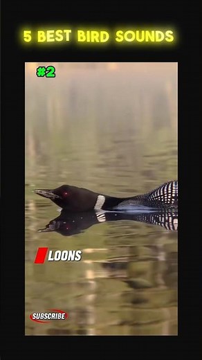 5 More Bird Sounds That Sound Unreal! 🦢#shorts #birds #ytshorts