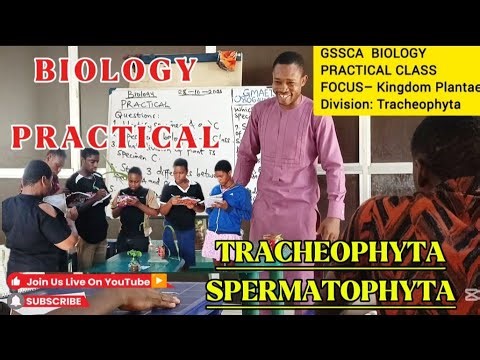 PRACTICAL BIOLOGY || SPECIMEN ANALYSIS #GMAETS41 #OnlineLesson #OnlineSchool