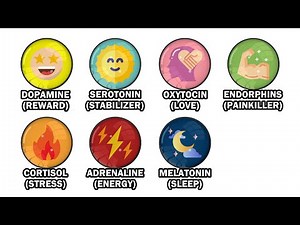 Every Hormones in Human Brain Explained in 7 Minutes (and how to hack them)