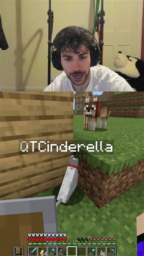 I named my cats after Streamers in Minecraft