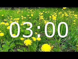 3 Minute Spring Timer with Relaxing Music and Flowers for Meditation