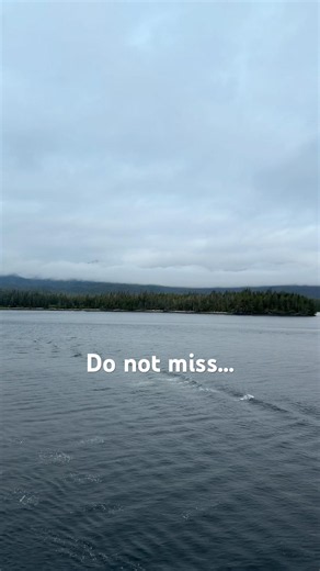 You don’t want to miss this! #exploring #Alaska #ketchikan #amazing
