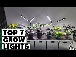 7 Best Grow Lights for Thriving Indoor Plants