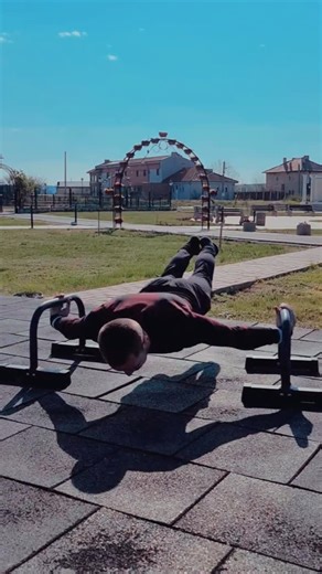 THE REAL STREET WORKOUT !!! on Instagram: "That’s an elit transition by @yordan_stanchev_ 🔝🔝🔝 . . . Use #beast_of_static or Tag Us!"