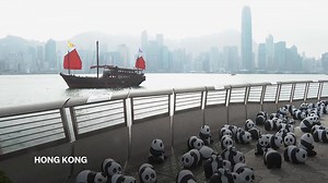 Panda sculptures line Hong Kong's seafront