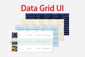 Data Grid UI | GUI 도구 | Unity Asset Store