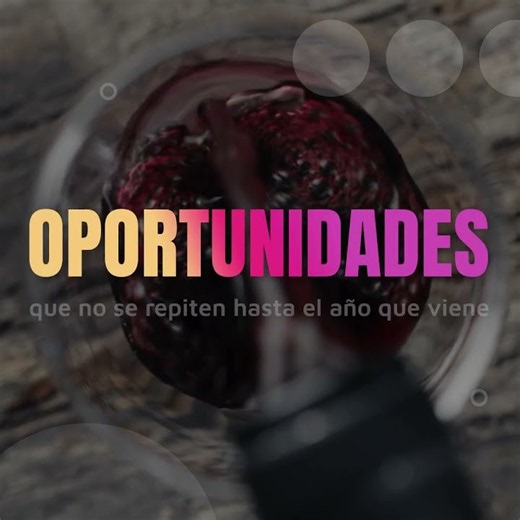 Más de 50 bodegas. Una semana. Oportunidades únicas 🍷