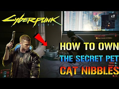 Cyberpunk 2077: How To Own The Secret PET CAT "Nibbles" (Full Quest Guide)