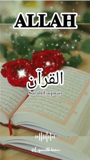 Allah choti sinneki ko v kayamt ke din la maujud krdega.. #allah#kayamat#love#trending#shorts#viral