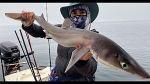 I caught a spiny dogfish! 🐟 Here's how we cooked it