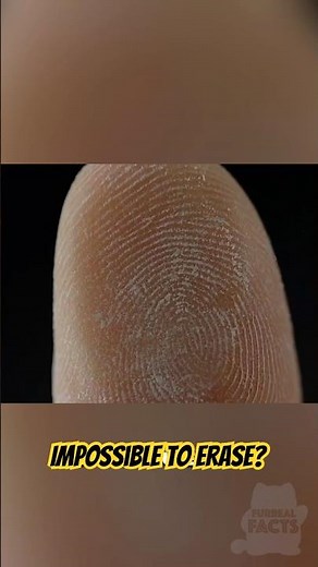 Why Fingerprints Are Impossible to Remove