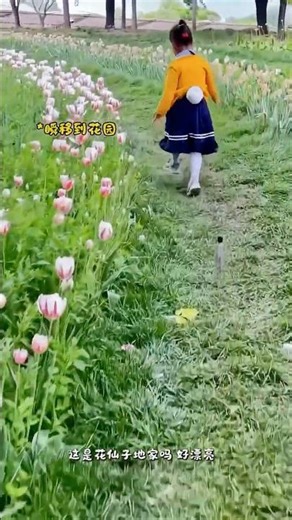 chalo choti garden mai