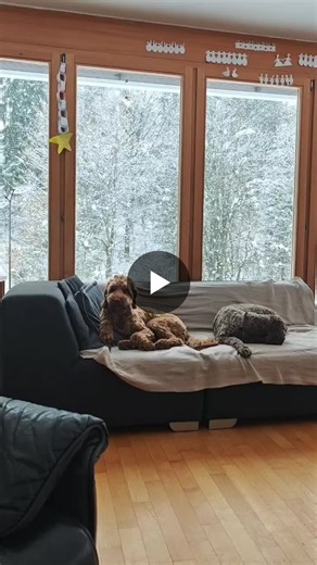 #healthyliving #switzerland #swisswinter | Marc Duckeck