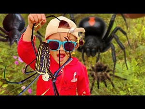 Hunting Biges Spider in Around Us ‼️ Catch Giant Golden Spider, Orb-Weaving, Mantis & Small Animals