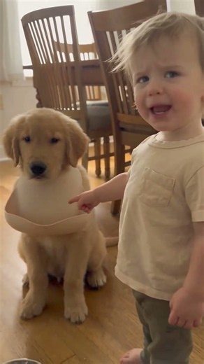 This Baby and Puppy Are Too Cute Together 🥹🐶