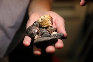 Inside the Secretive, Lucrative and Occasionally Violent World of Finding and Selling Whale Poop