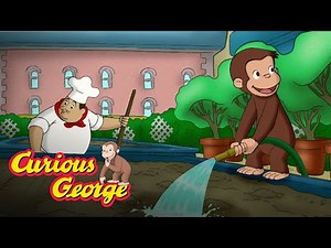 Planting Seeds 🐵 Curious George 🐵Kids Cartoon 🐵 Kids Movies 🐵Videos for Kids