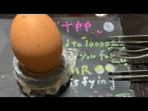 raw egg peeling! alien technic！ TPP