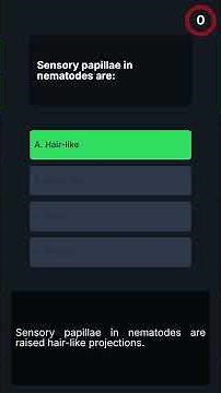 Nematode Anatomy & Systems Challenge