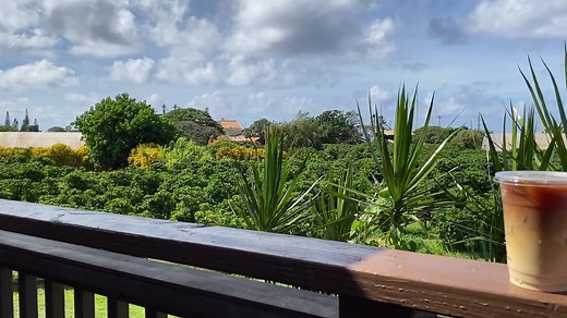 3.4K views · 143 reactions | Take a deep breath, sip your coffee, and embrace the aloha spirit.  Happy Friday from paradise! Which of these delicious beverages would you choose? All are available from the Cafe at the Visitor Center! Come see us! Open daily from 9:00 - 5:00. | Kauai Coffee Company | Facebook