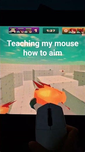 #catmemes
