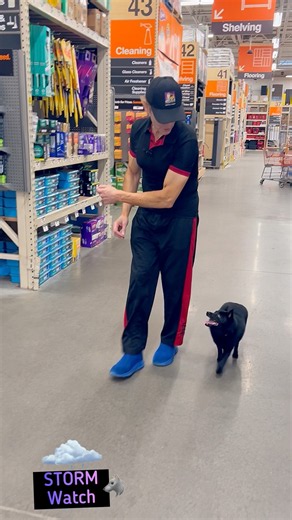Practicing rally moves at Home Depot helps build focus & connection! #dogtraining #dog #schipperke