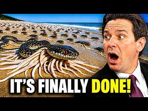 Florida Released Something That Kills Pythons from the Inside, Reveals an Aftermath No One Expected