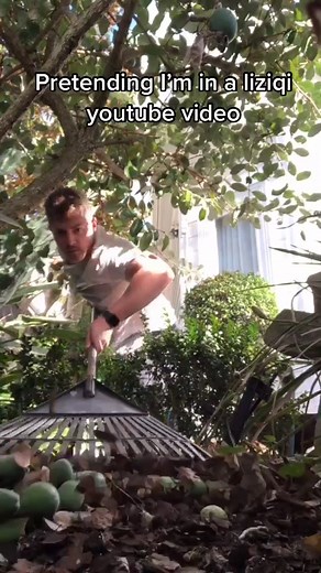 Exploring Liziqi's Cultural Influence on YouTube