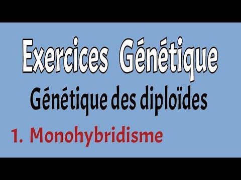Exercices génétiques (partie 3: Génétique des diploïdes/ Monohybridisme)