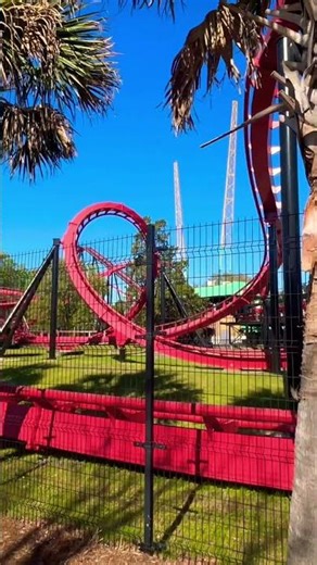 Vortex Roller Coaster - Carowinds