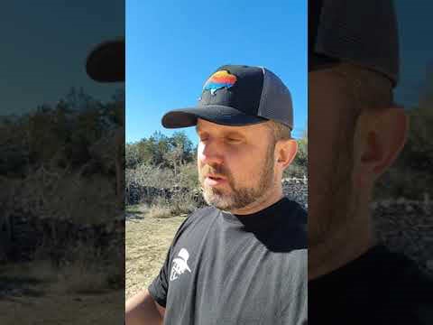 Horns vs Antlers: What’s the Difference in Texas Wildlife?