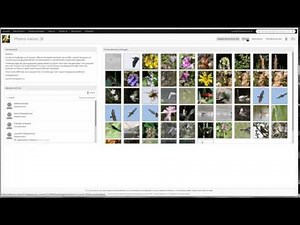 Alfresco share : présentation rapide