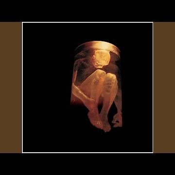 We Die Young (Demo)