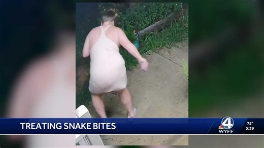 Video captures Upstate woman being bitten by copperhead; one of 19 victims in Upstate this year