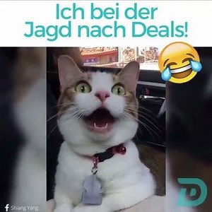 Du? 藍 https://dd.deals/2LyrtKp | DailyDeal | Facebook